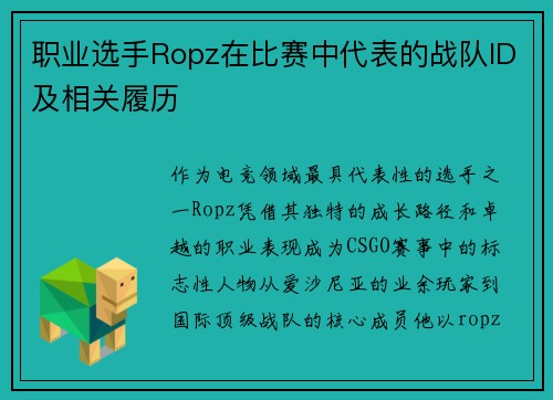 职业选手Ropz在比赛中代表的战队ID及相关履历