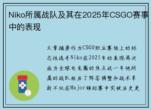 Niko所属战队及其在2025年CSGO赛事中的表现